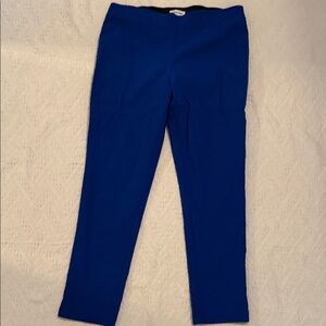 Calvin Klein Royal Blue Pants